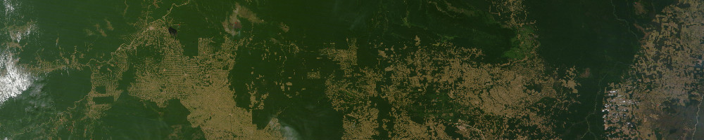 Skovhugst i Amazonas, foto: NASA, Creative Commons BY 2.0